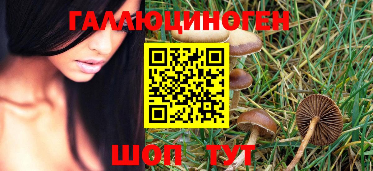 Галлюциногенные грибы ЛСД  Славгород 