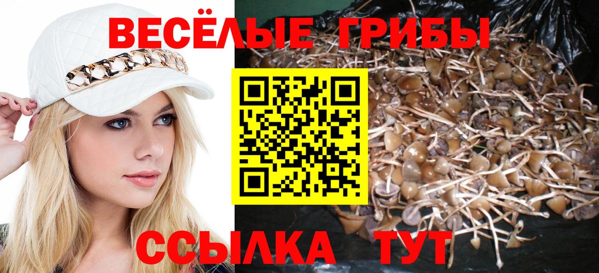 Галлюциногенные грибы Cubensis Славгород